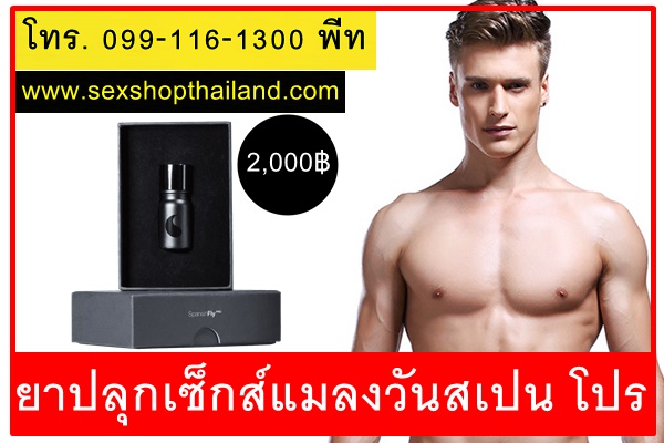ยาปลุกเซ็กส์ชายแมลงวันสเปนโปร